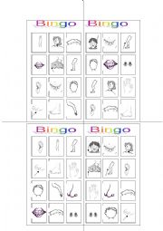 English Worksheet: bingo body parts