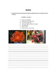 English Worksheet: Starfish - under the sea animals (composition)