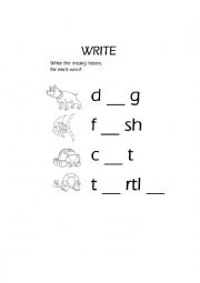 English Worksheet: Animals Vowels