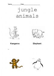 Animals