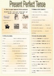 English Worksheet: Present Perfect Tense