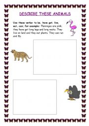 English Worksheet: Describe an animal