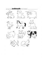 English Worksheet: Farm Animals