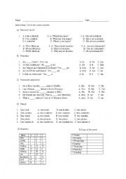 English Worksheet: Diagnostic Exam for Beginners