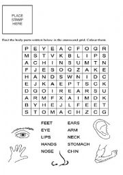 English Worksheet: Body Parts