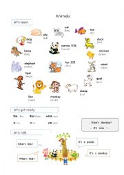 English Worksheet: animals