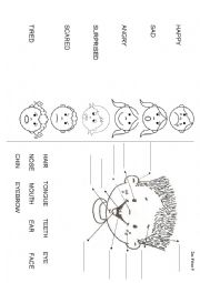 English Worksheet: My face and feelings