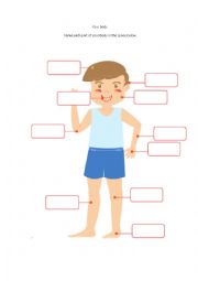 English Worksheet: part of the body