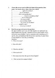 English Worksheet: Wh question practice