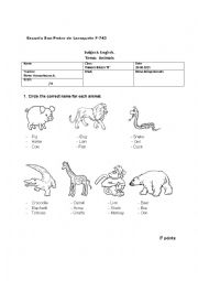 English Worksheet: Animals Test