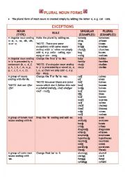 English Worksheet: Plural Noun Forms