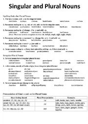 English Worksheet: Singular and Plural exercises