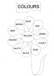 English Worksheet: flower to colour