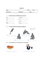 English Worksheet: test  