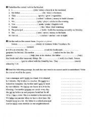 English Worksheet: Simple Present 