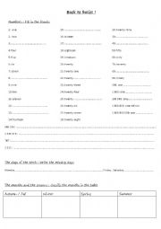 English Worksheet: Back to basics