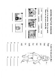 English Worksheet: MOVERS PRACTICE EXERCISE