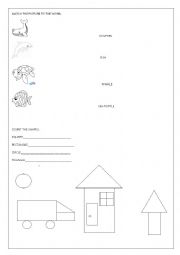 English Worksheet: SHAPES AND SEA ANIMALS