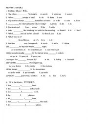 revision for the simple present tense, 