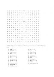 English Worksheet: Opposites Worksheet