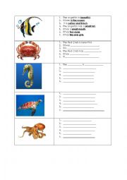 English Worksheet: Writing Activity with guidance (Sea Creatures)