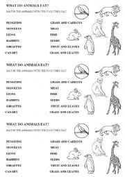 WHAT DO ANIMALS EAT?