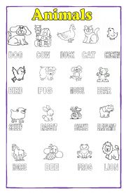 English Worksheet: Animal poster