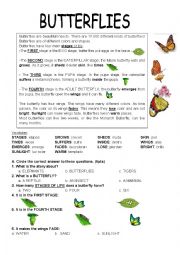 English Worksheet: BUTTERFLIES