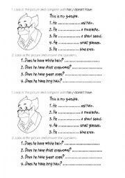 English Worksheet: use of has and doesnt have