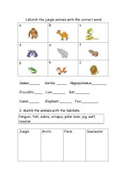 English Worksheet: animals