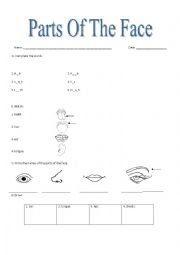 PARTS OF THE FACE