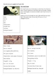 English Worksheet: The Giant Panda