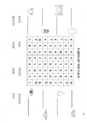 English Worksheet: Parts of the face