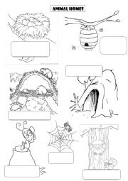 English Worksheet: Animal homes