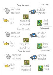 English Worksheet: Animals: spider, bird, mouse, fish, squirrel