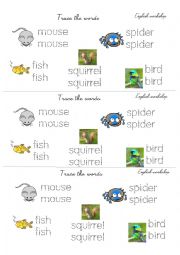 Animals: spider, bird, mouse, fish, squirrel