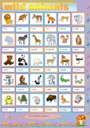 English Worksheet: wild animals 