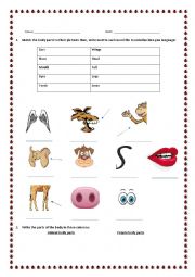 English Worksheet: Animal body parts