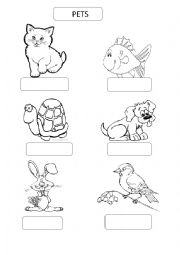 English Worksheet: pets