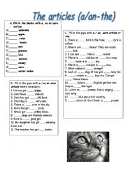 English Worksheet: Articles