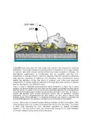 English Worksheet: CELL SIGNALING READING COMPREHENSION