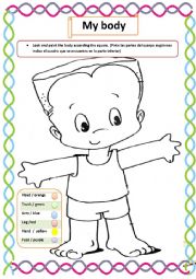 English Worksheet: Parts of the body