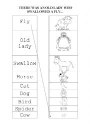 English Worksheet: THERE WAS AN OLD LADY WHO SWALLOWED A FLY- VOCABULARY