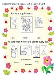 English Worksheet: SPRING  & FLOWERS