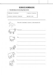 ANIMALS HOMEWORK