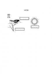 English Worksheet: nature