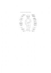 English Worksheet: Body Parts