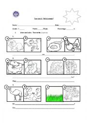English Worksheet: Can and cant and wild animals