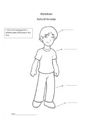 English Worksheet: Head, Shoulders, Knees and Toes