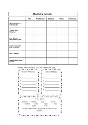 English Worksheet: animal clasification